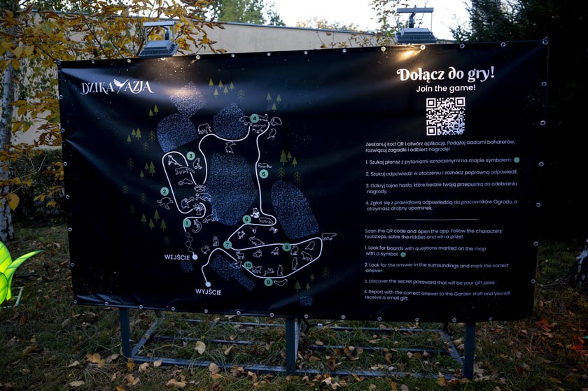 Wystawa Garden of Lights: Dzika Azja we wrocławskim zoo, październik 2024